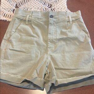 Frame Safari Shorts